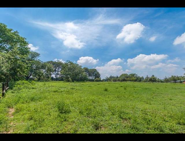 FARM FOR SALE IN NOOITGEDACHT